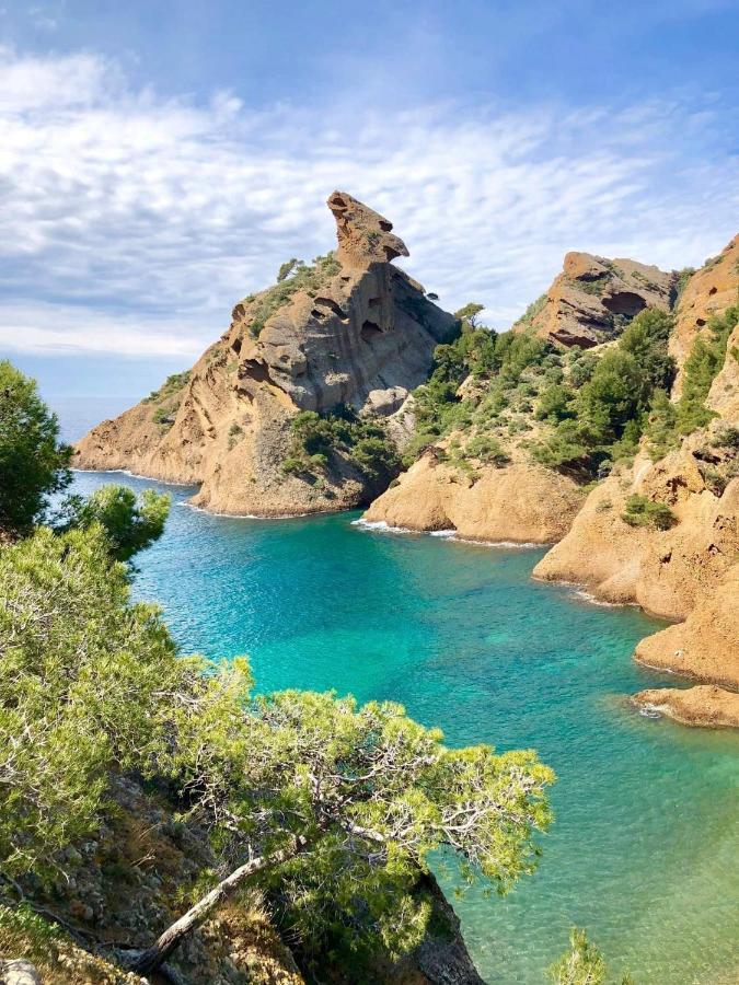 Chambre D'Hotes Le Secadou La Ciotat Dış mekan fotoğraf