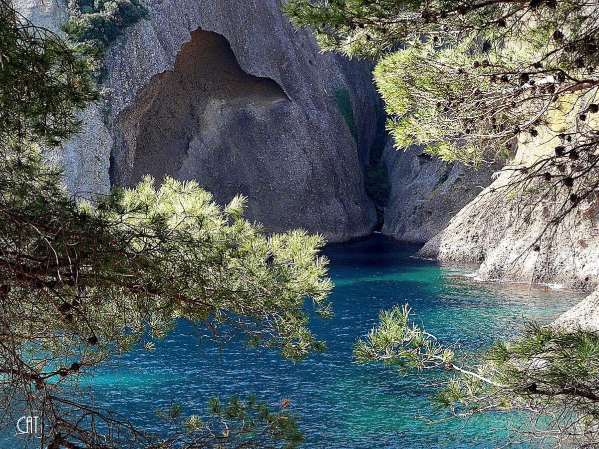 Chambre D'Hotes Le Secadou La Ciotat Dış mekan fotoğraf