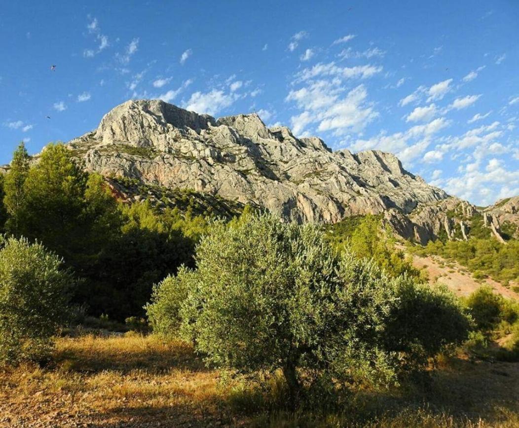 Chambre D'Hotes Le Secadou La Ciotat Dış mekan fotoğraf